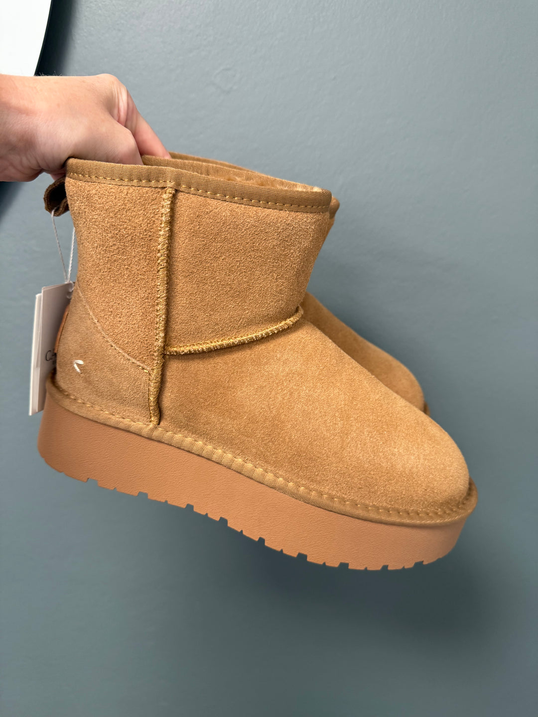Carmela Suede Flatform Boots