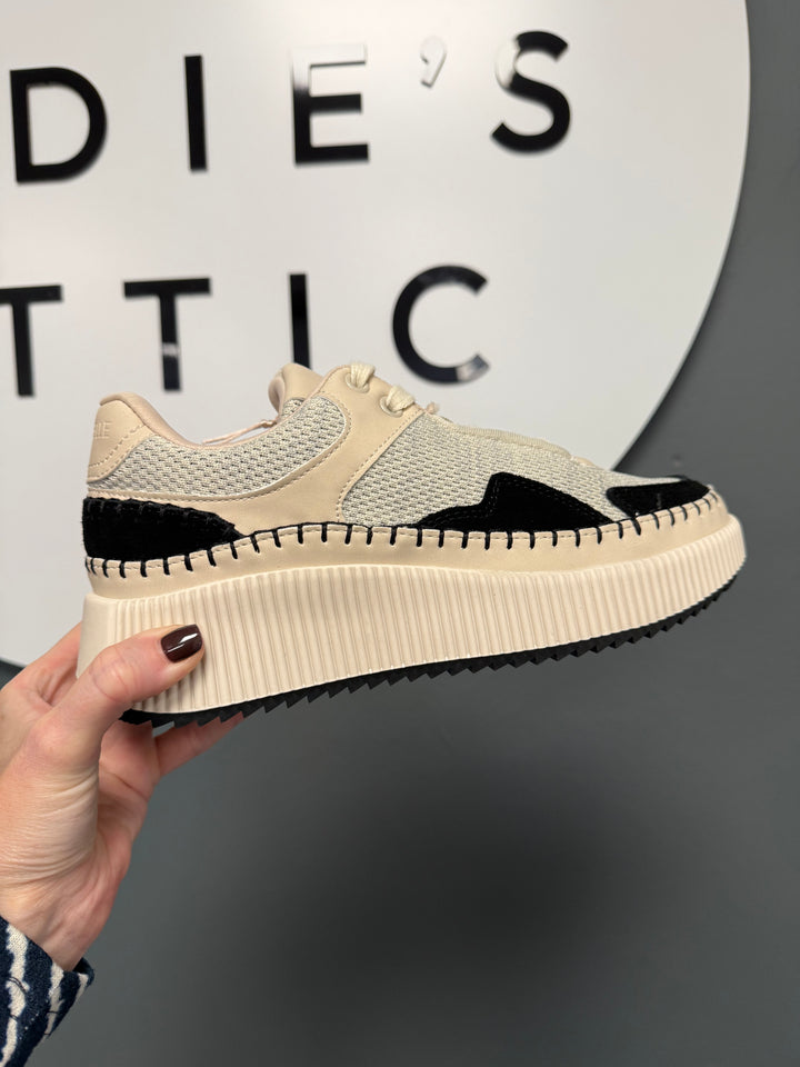 Rocco Trainers