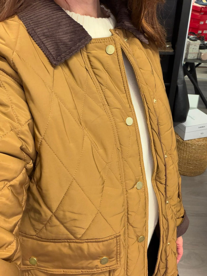 Bellini Jacket