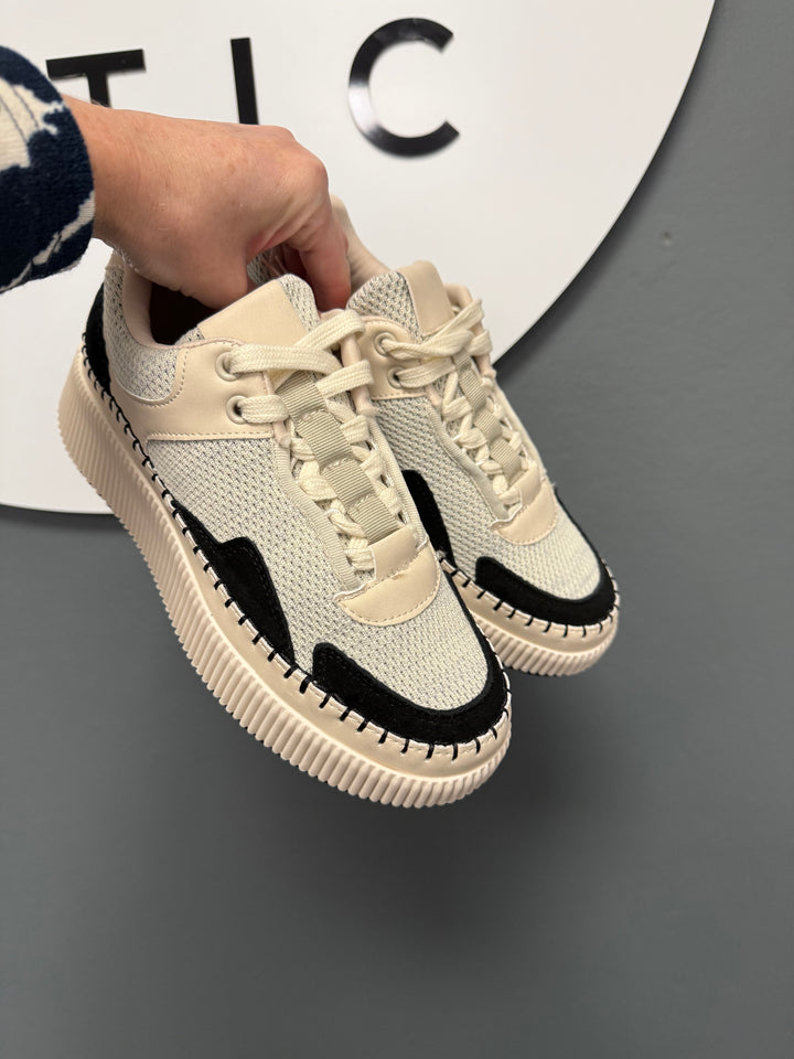 Rocco Trainers