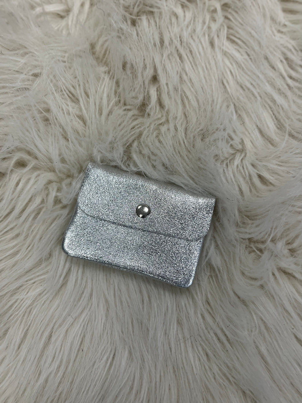 Coin Purse - Silver