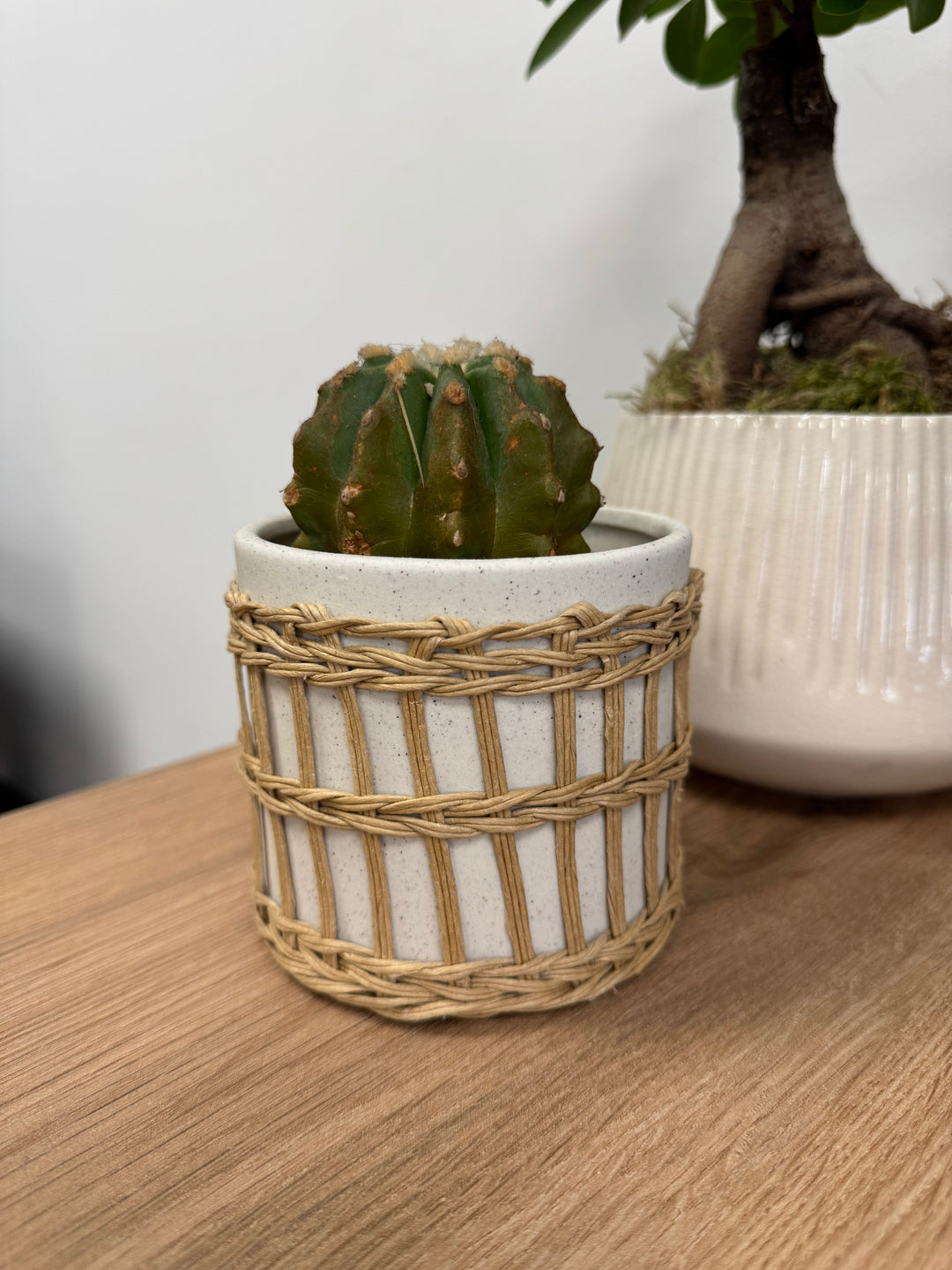 Seagrass Stone Vase
